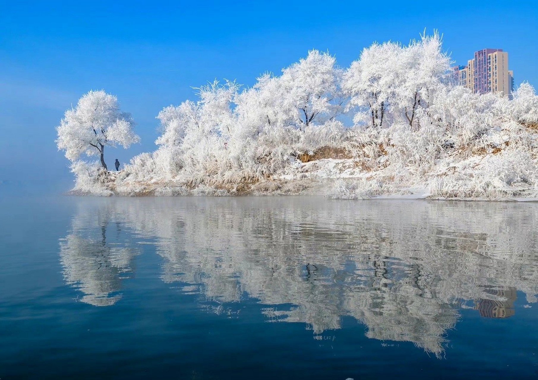 吉林旅游生活入门指南，新手必看攻略